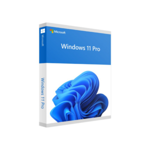INSTALAÇÃO DE S.O WINDOWS 10 ou 11